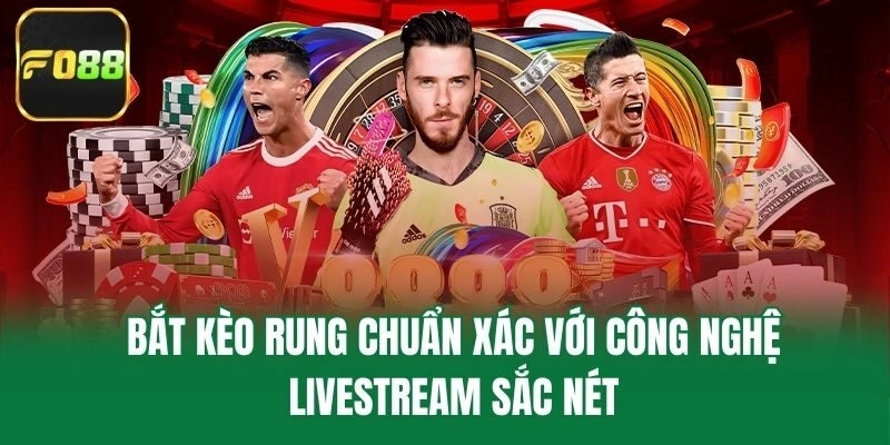 Bắt kèo rung chuẩn xác với công nghệ livestream sắc nét