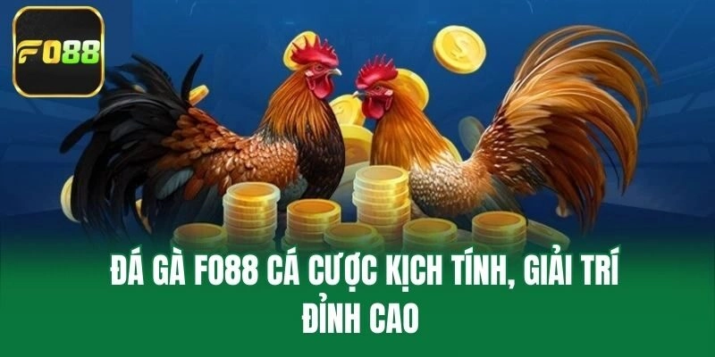 Đá gà Fo88 cá cược kịch tính, giải trí đỉnh cao