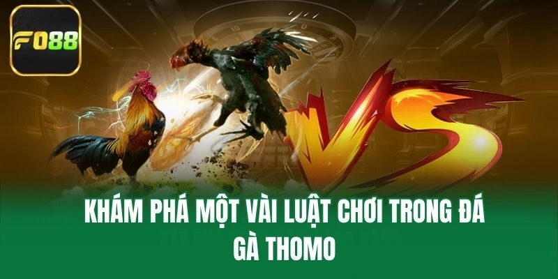 Khám phá một vài luật chơi trong đá gà Thomo