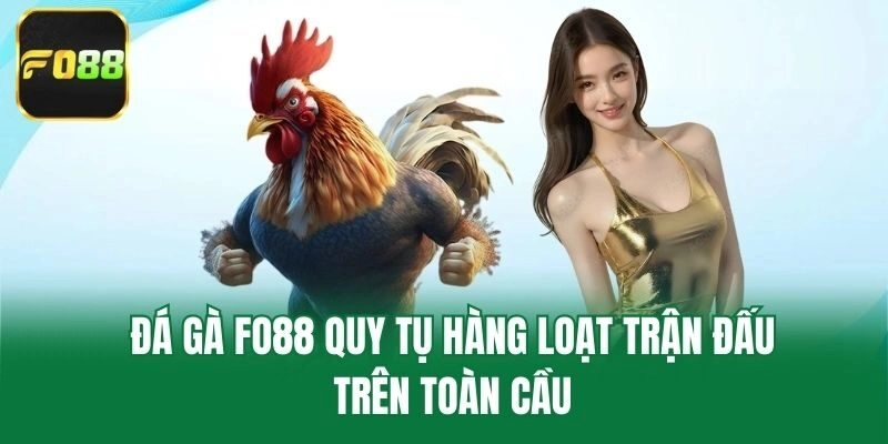 Đá gà Fo88 quy tụ hàng loạt trận đấu trên toàn cầu