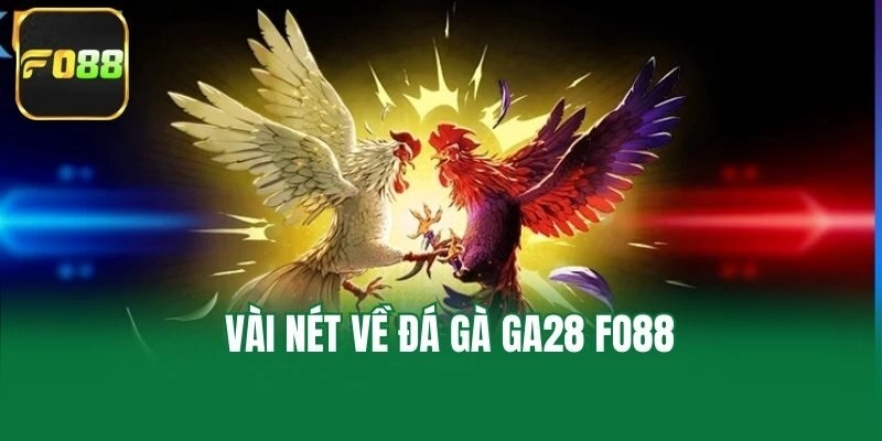 Vài nét về đá gà ga28 Fo88